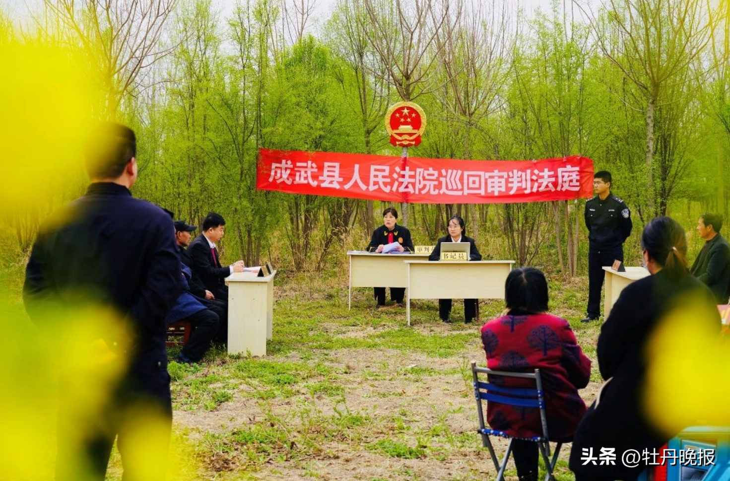 三年租金难讨回，菏泽法官田间地头审案件——树木种植经营纠纷的司法实践